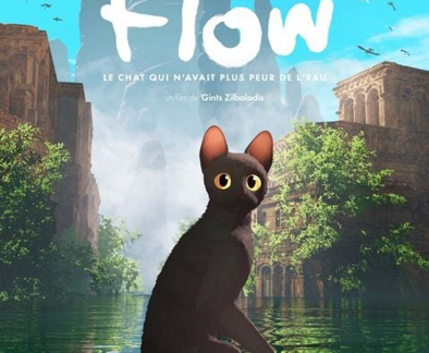 Affiche Flow film