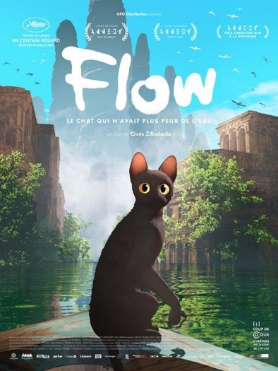 Affiche Flow film